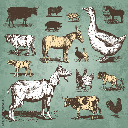Vector: farm animals vintage set (vector) farm animals vintage set (vector)