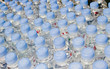 Bottled water