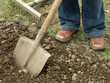 soil cultivation with spade