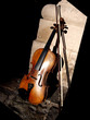 violon
