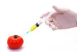 Genetically modified tomato, genetic engineering