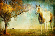 autumn landscape - artwork in painting style