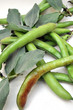 Legumi, fave fresche dell'orto