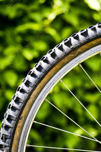 Photo: bike tyre bike tyre