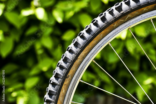 Photo: Mountain bike tyre Mountain bike tyre