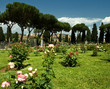 il roseto