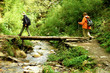 Trekkers in the Himalayan mountains, Annapurna conservation regi
