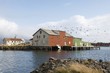 Flock of birds and boathouse on the Lofoten Islands, Norway