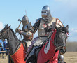 The horse knight in an armour and in a helmet
