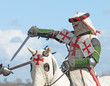 The horse knight in an armour and in a helmet The horse knight in an armour and in a helmet