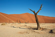 Dead Vlei
