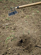 Ploughing in motion Ploughing in motion