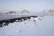 Winter landscape in Norway