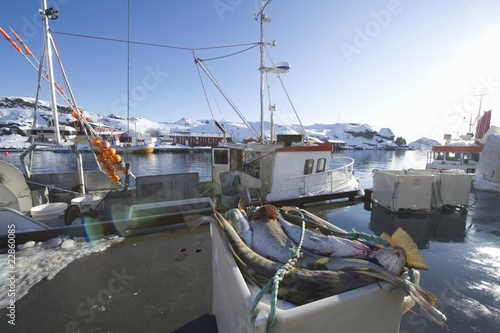 Photo: Fishing boat in harbour, Norway Fishing boat in harbour, Norway