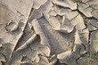 dry mud