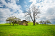 House in the mountain meadow House in the mountain meadow