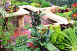 Plants in garden