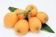 loquat