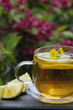 tisana