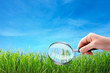 Photo: closeup of grass under magnifying glass closeup of grass under magnifying glass