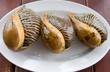 Asian meal-large molluscs