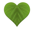 Green Love