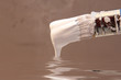 Pinceau & reflet