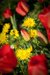 Flowers garden