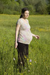 Pregnant woman on the meadow