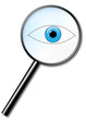 magnifier