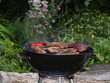 Grillen im Garten.
