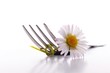 flower and fork flower and fork