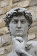 Head of Famous David by Michelangelo Head of Famous David by Michelangelo