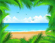 tropical beach tropical beach