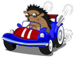 hedgehog the racer hedgehog the racer