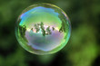 bubble with reflections on organic background bubble with reflections on organic background