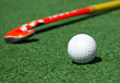 hockey stick on the field