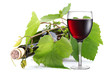 Wine bottle and glass entwined with vine.