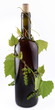Wine bottle entwined with vine