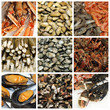 seafood collage