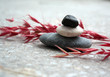 Spa stones