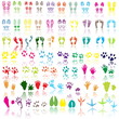 Collection of shoeprint, footprint, animal and bird trails