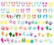 Collection of shoeprint, footprint, animal and bird trails