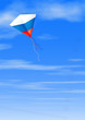 The kite