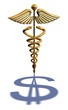 Caduceus Medical Symbol chrome
