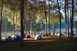 Morning in Camping Park