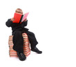 Happy young boy with books.