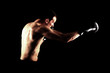 Photo: Boxer Boxer