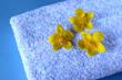 Foto: Wellness Wellness