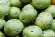 Kohlrabi